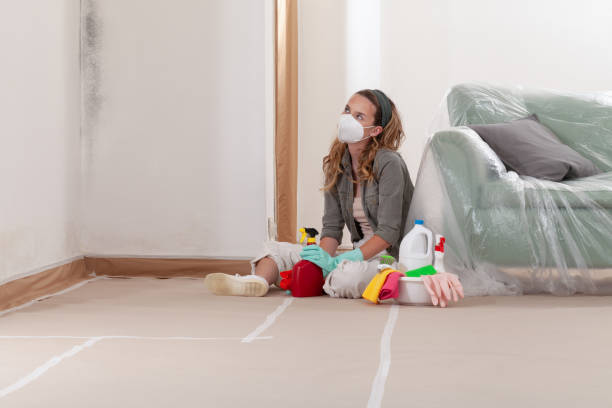 Reliable Commercial Mold Remediation contractor in South Plainfield, NJ by 24 Hour Mold Removal